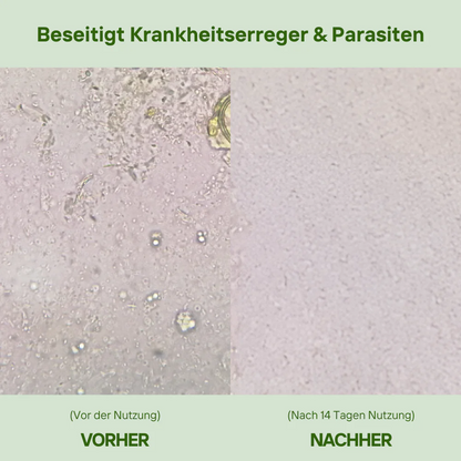 Oreganoöl mit Schwarzkümmelöl – 180 Weichkapseln